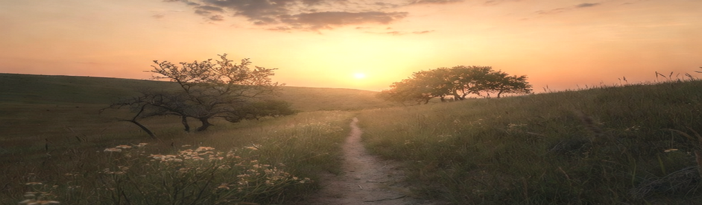 Path leading toward bright horizon symbolizing eternity.