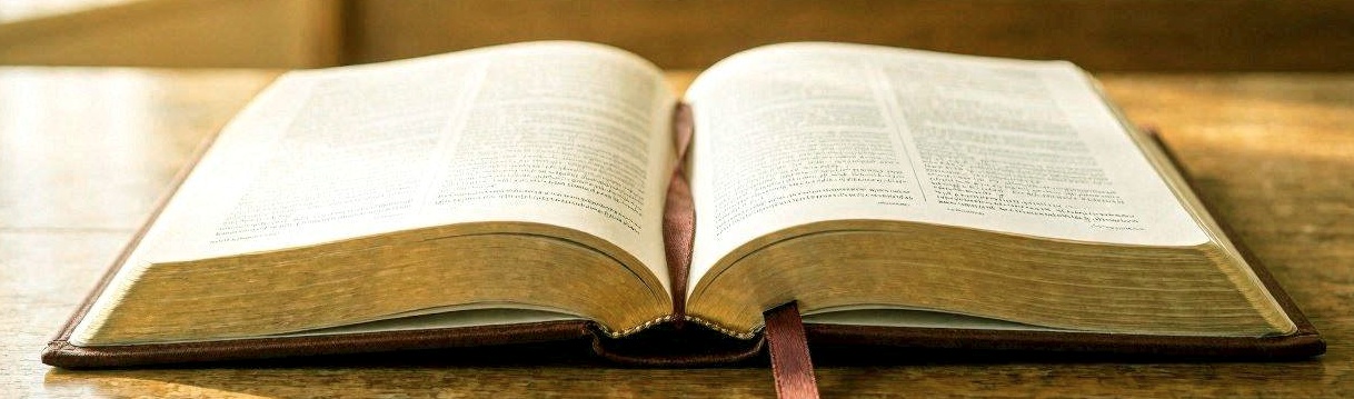 Open Bible glowing with warm sunlight in a peaceful setting.