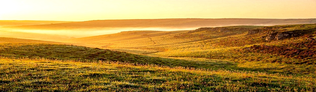 Soft golden light over a renewed landscape representing heavenly beauty.

